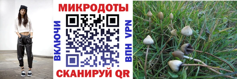 Купить  Гатчина  Галлюциногенные грибы мухоморы 